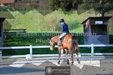 ref. photo 3549555