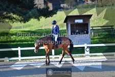 ref. photo 3549558