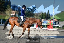 ref. photo 3549565
