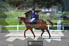ref. photo 3549568