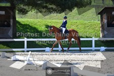 ref. photo 3549574