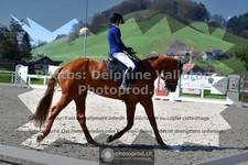 ref. photo 3549580