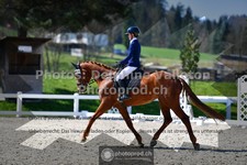 ref. photo 3549583