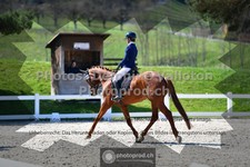 ref. photo 3549584