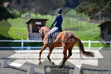 ref. photo 3549589
