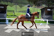 ref. photo 3549590