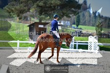 ref. photo 3549600