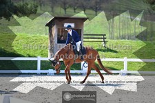 ref. photo 3549609