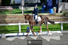 ref. photo 3549611