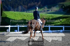 ref. photo 3549614