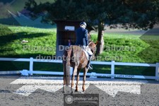 ref. photo 3549616