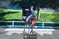 ref. photo 3549618