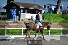 ref. photo 3549622
