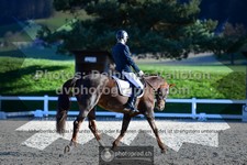 ref. photo 3549624