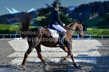 ref. photo 3549629