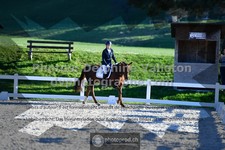 ref. photo 3549641