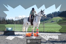 ref. photo 3549658