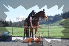 ref. photo 3549673