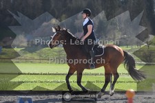 ref. photo 3549681