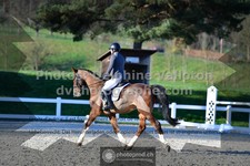 ref. photo 3549704