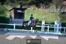ref. photo 3549705