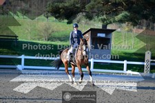 ref. photo 3549712