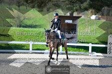 ref. photo 3549768