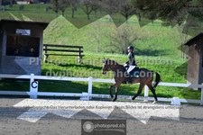 ref. photo 3549770