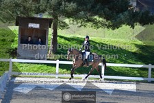 ref. photo 3549771