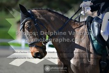 ref. photo 3549778