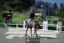 ref. photo 3549788