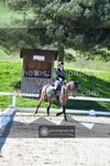 ref. photo 3549791