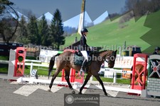 ref. photo 3549794