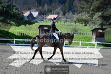ref. photo 3549798