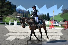 ref. photo 3549801