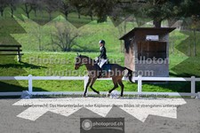 ref. photo 3549810