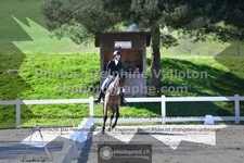 ref. photo 3549813