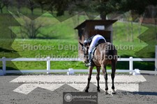 ref. photo 3549827
