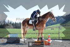 ref. photo 3549838