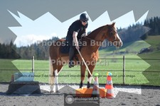 ref. photo 3549881