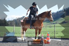 ref. photo 3549882