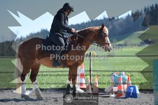 ref. photo 3549893