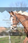 ref. photo 3549897