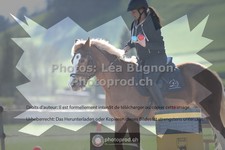 ref. photo 3549902