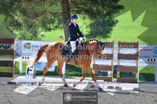 ref. photo 3549921