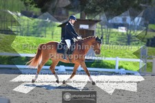 ref. photo 3549926