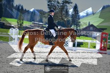 ref. photo 3549929