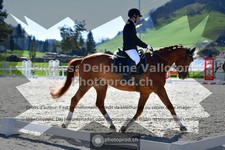 ref. photo 3549933