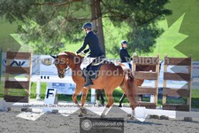 ref. photo 3549934