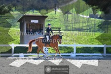 ref. photo 3549938